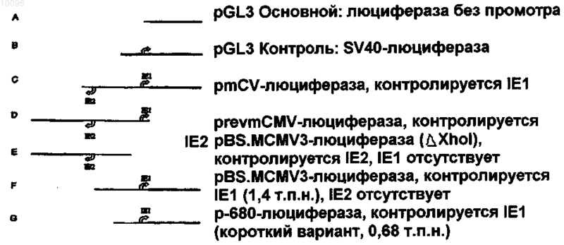 Рисунок 1