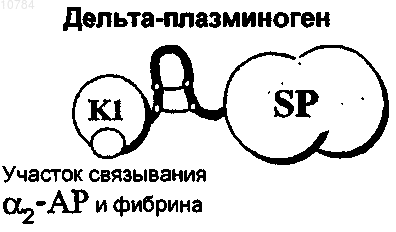 Рисунок 1