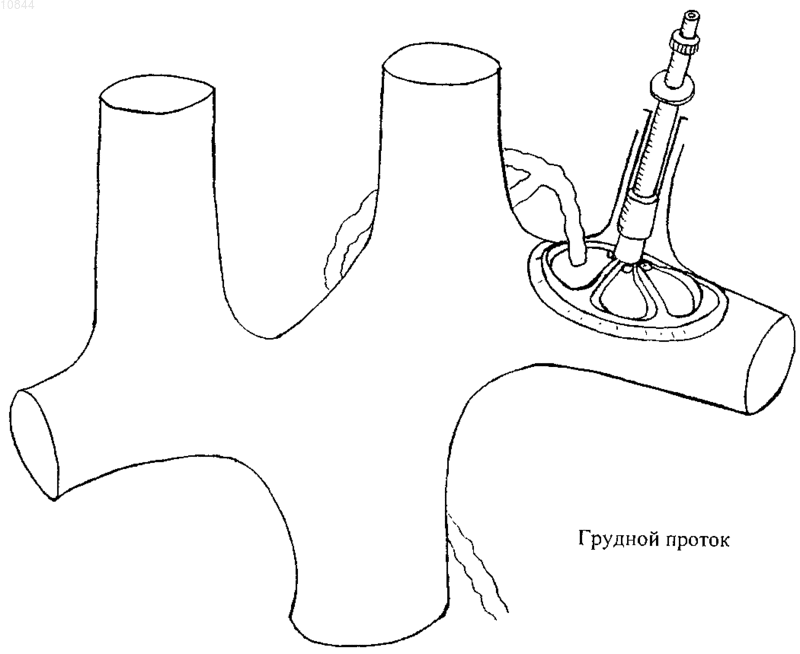 Рисунок 1