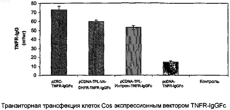 Рисунок 1