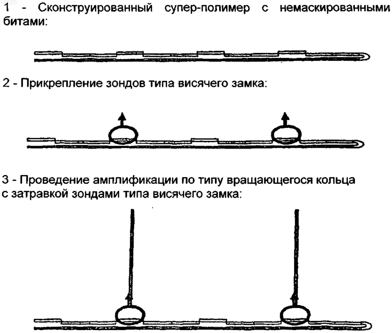 Рисунок 1