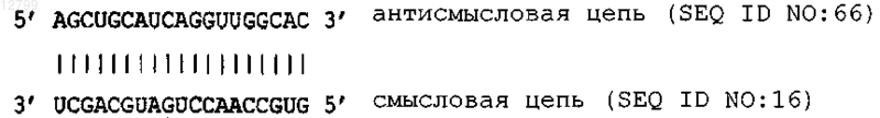 Рисунок 1