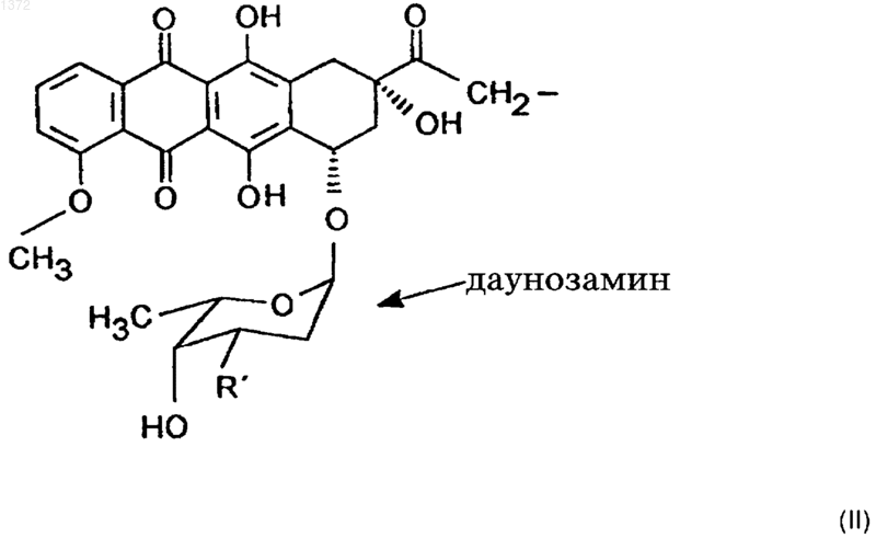 Рисунок 1