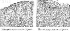 Рисунок 1