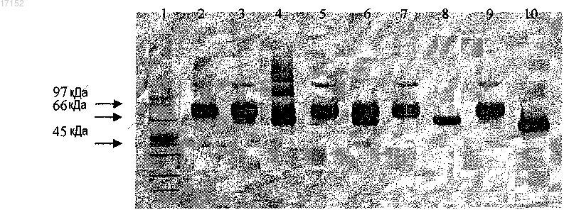 Рисунок 1 Рисунок 1