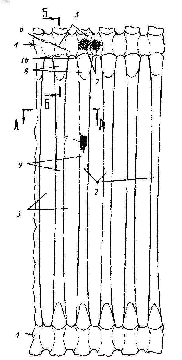 Рисунок 1