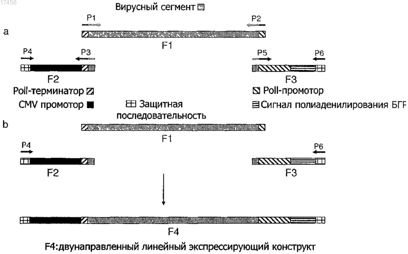 Рисунок 1
