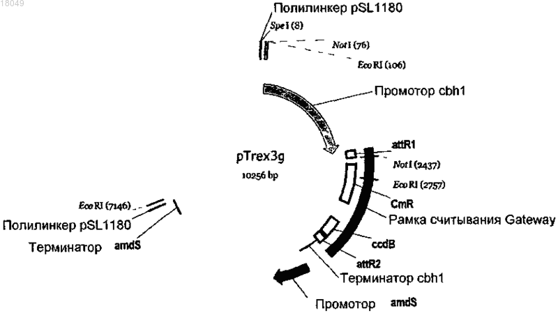 Рисунок 1