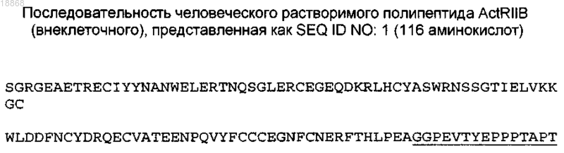 Рисунок 1