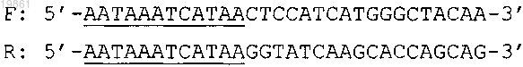 Рисунок 4 Рисунок 4