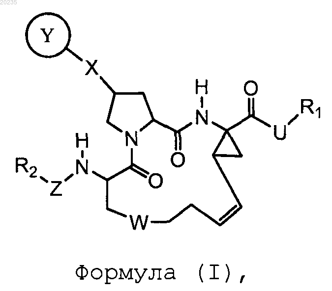 Рисунок 1