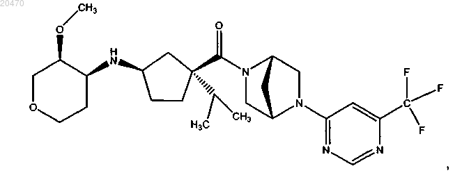Рисунок 11