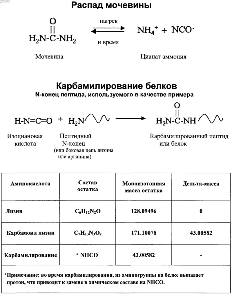 Рисунок 1