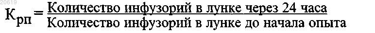 Рисунок 2