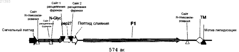 Рисунок 1 Рисунок 1