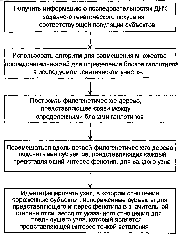 Рисунок 1