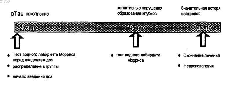 Рисунок 1 Рисунок 1