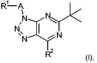 Рисунок 1 Рисунок 1