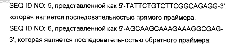 Рисунок 1