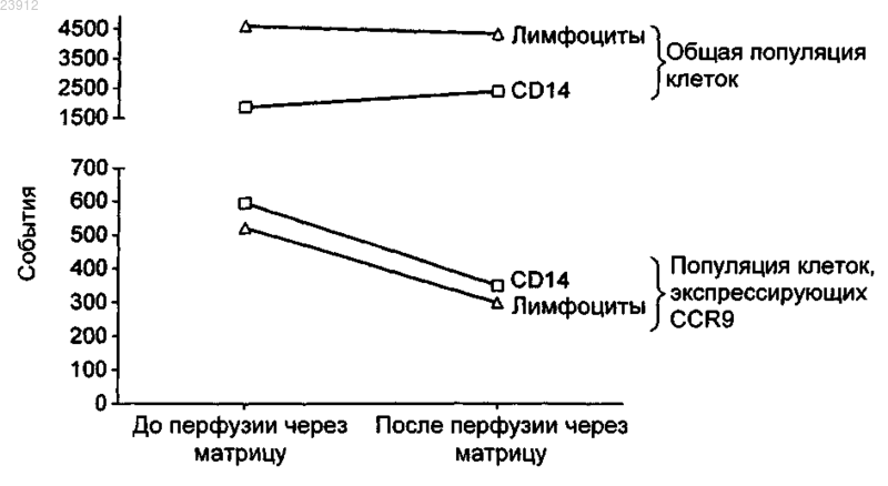 Рисунок 1