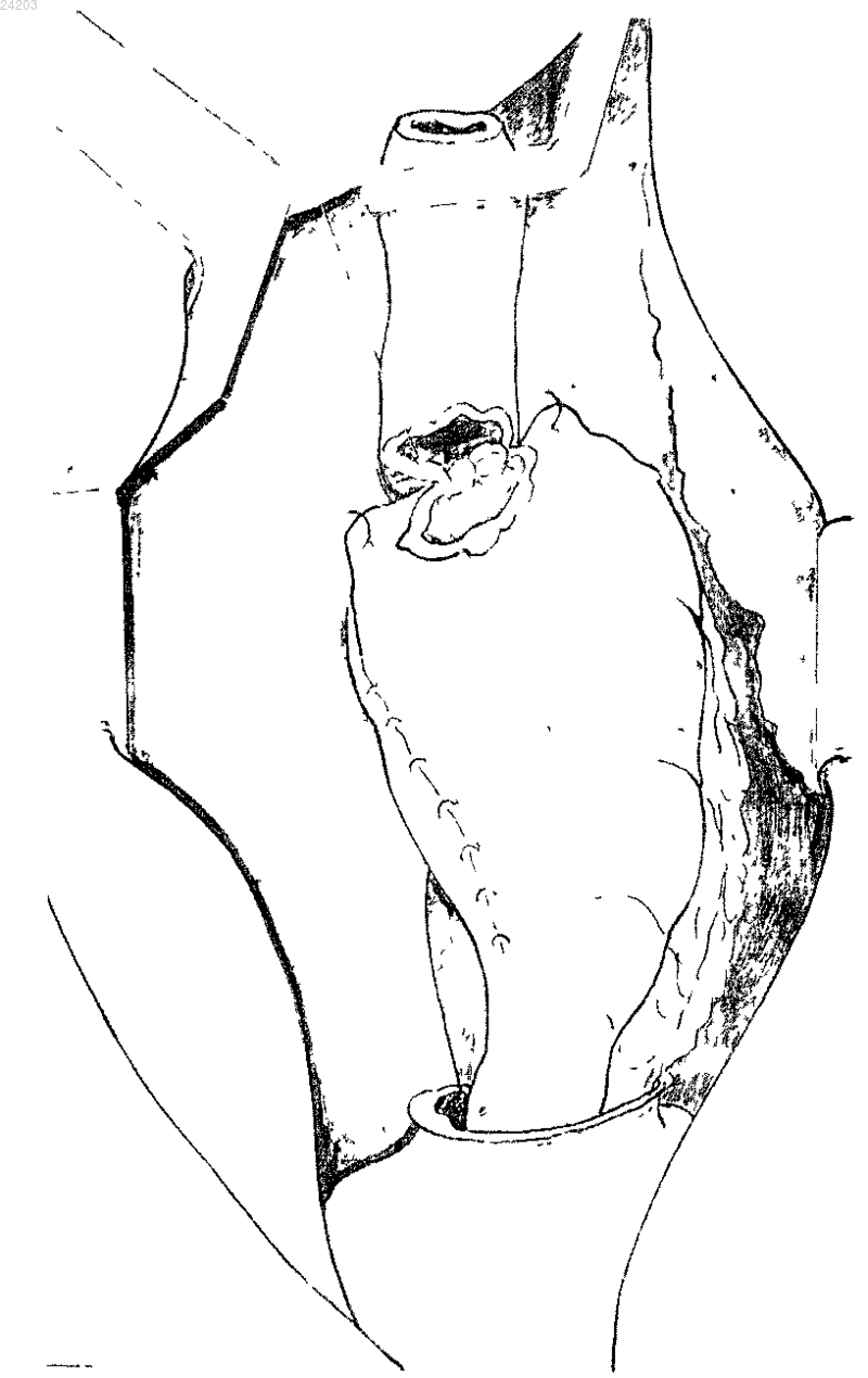 Рисунок 2