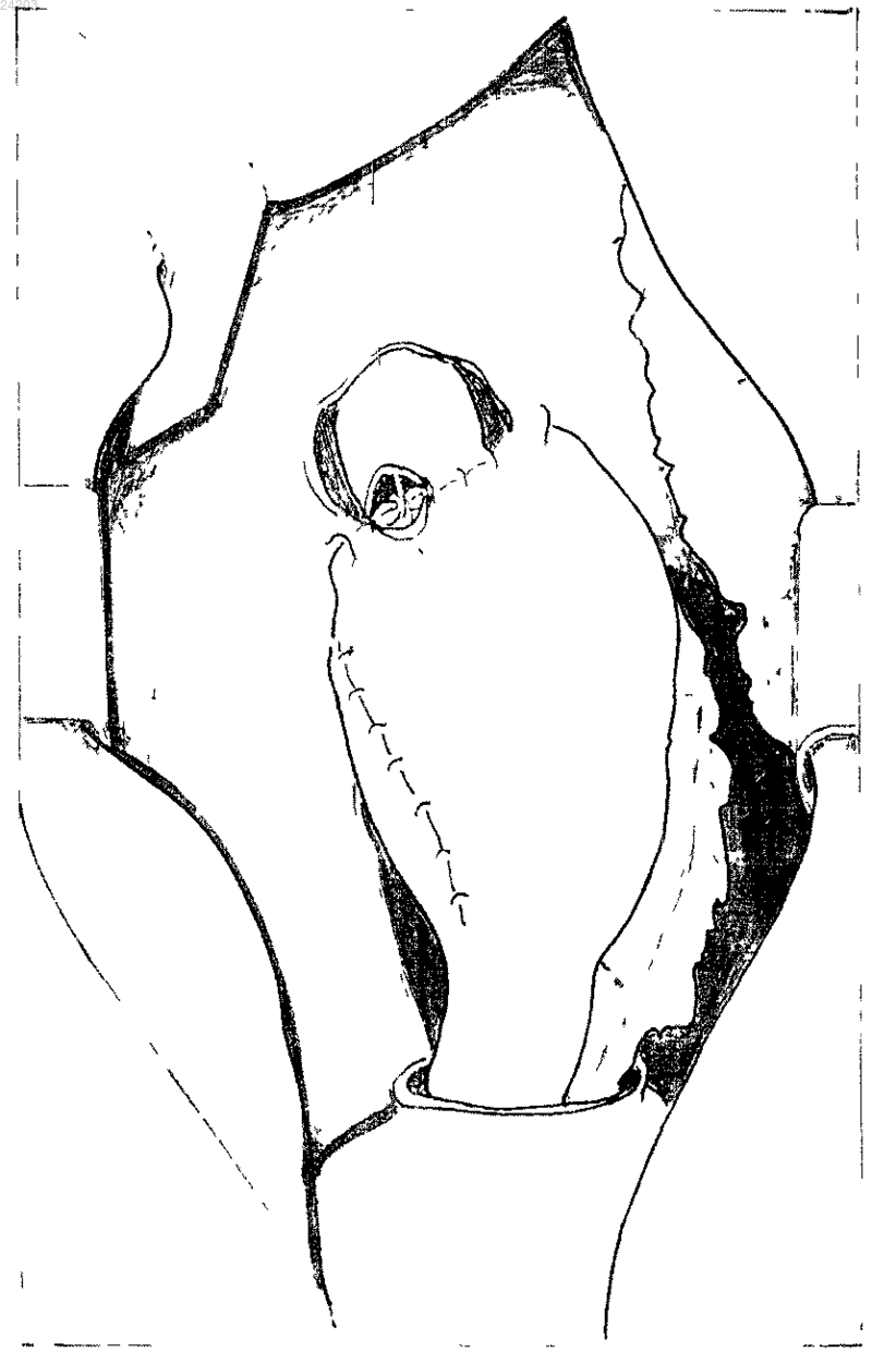 Рисунок 3