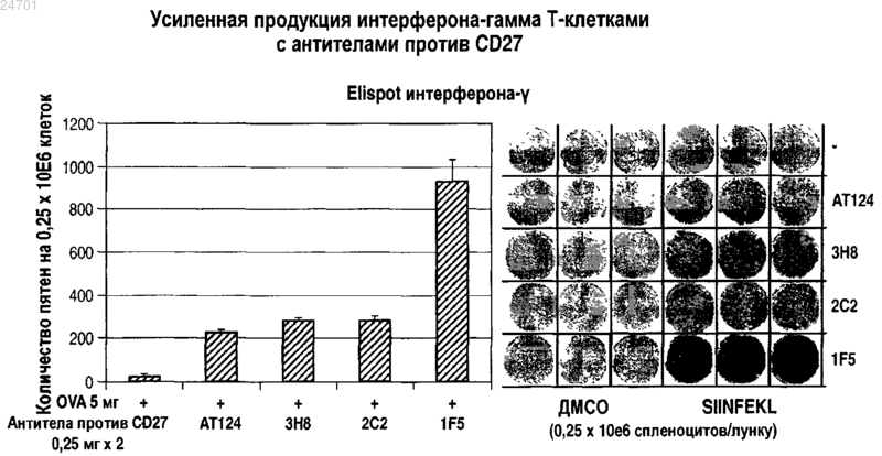 Рисунок 1