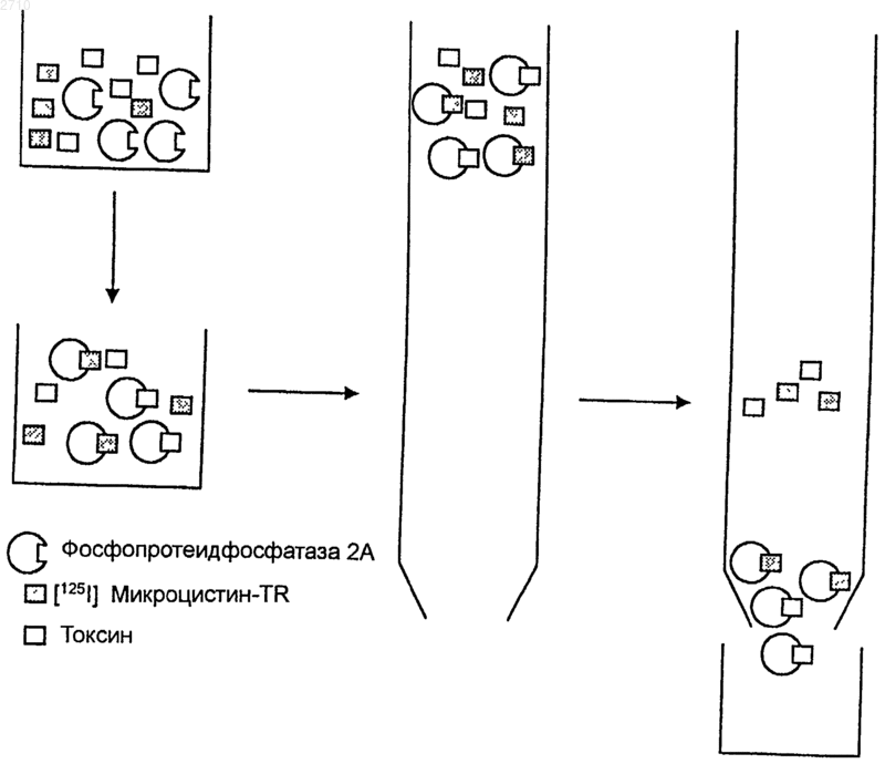 Рисунок 1