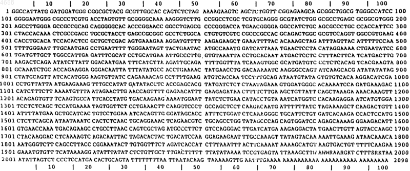 Рисунок 2