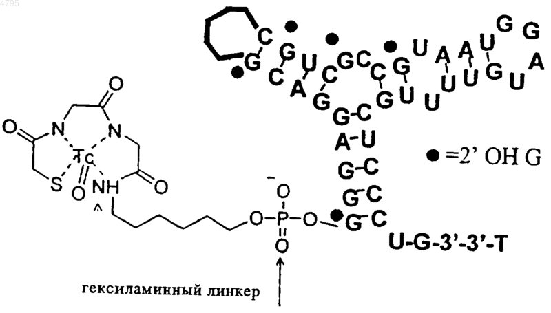 Рисунок 2