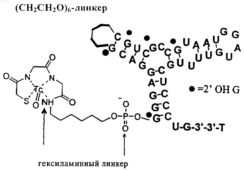 Рисунок 6