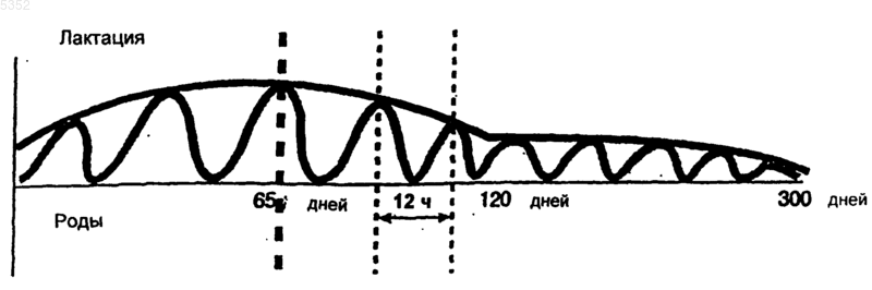 Рисунок 1