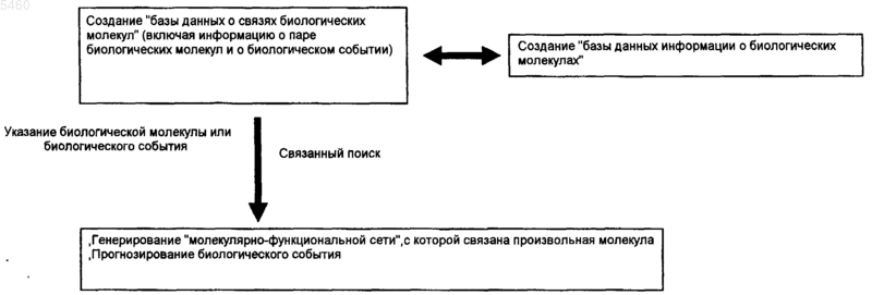 Рисунок 1