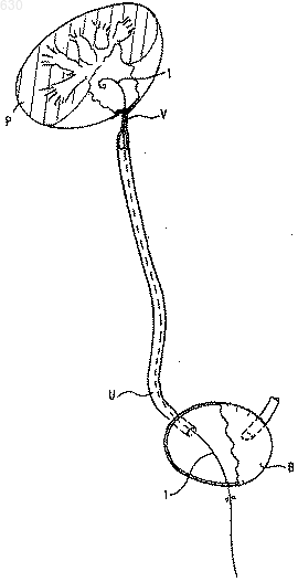 Рисунок 1