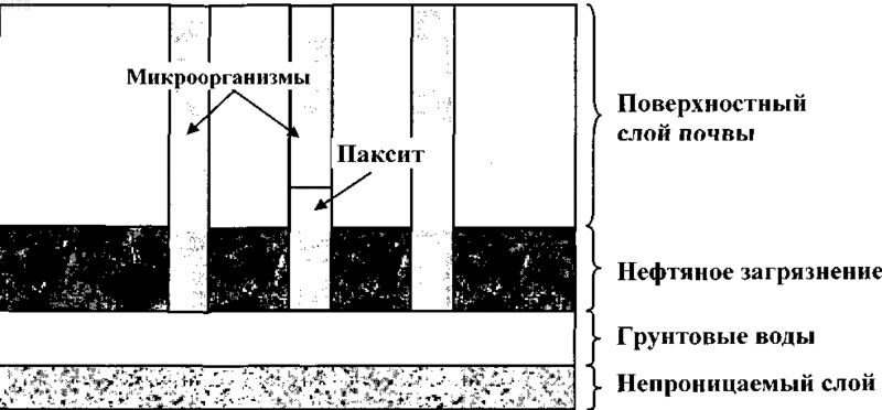 Рисунок 1