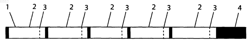 Рисунок 1