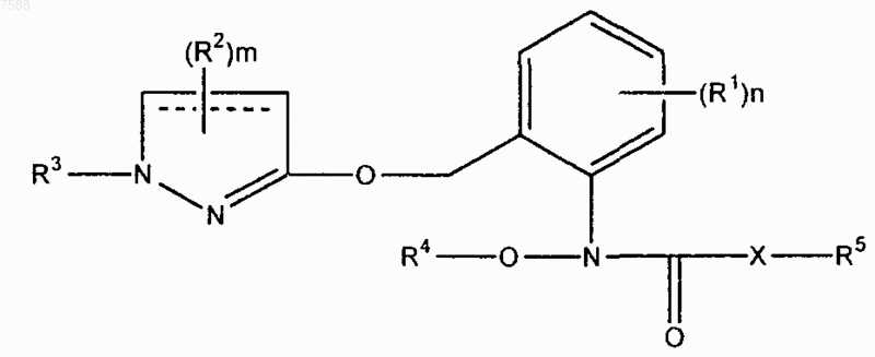 Рисунок 1