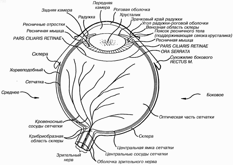 Рисунок 1