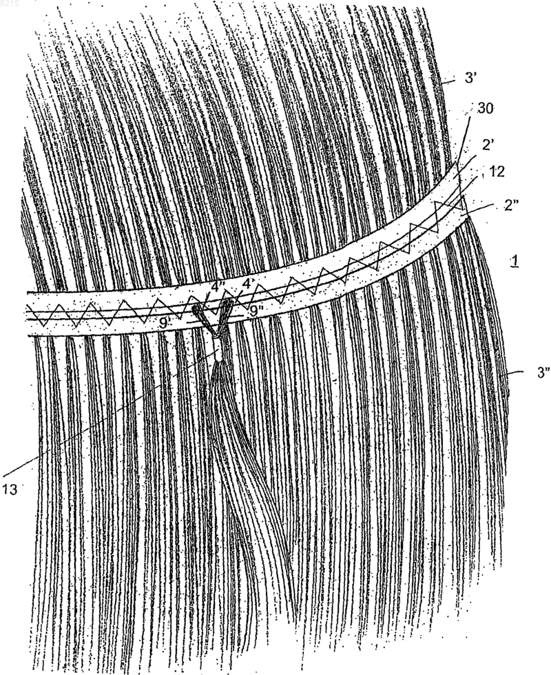 Рисунок 1