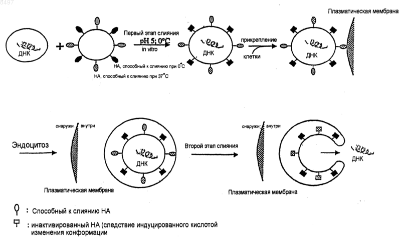 Рисунок 1