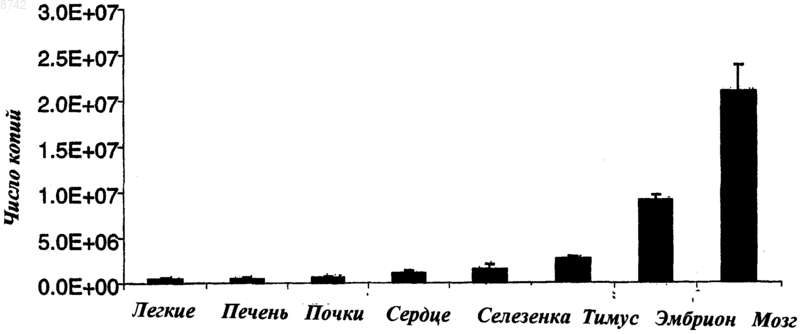 Рисунок 1