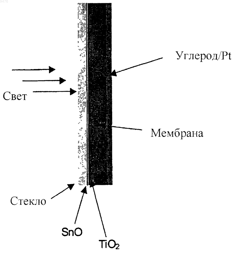 Рисунок 1